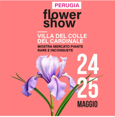 Perugia Flower Show